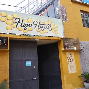Hoja Tirana